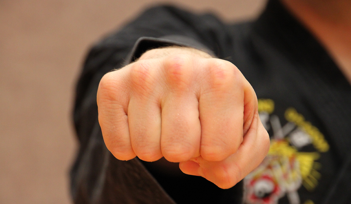 Snedigar Martial Arts Chandler Arizona