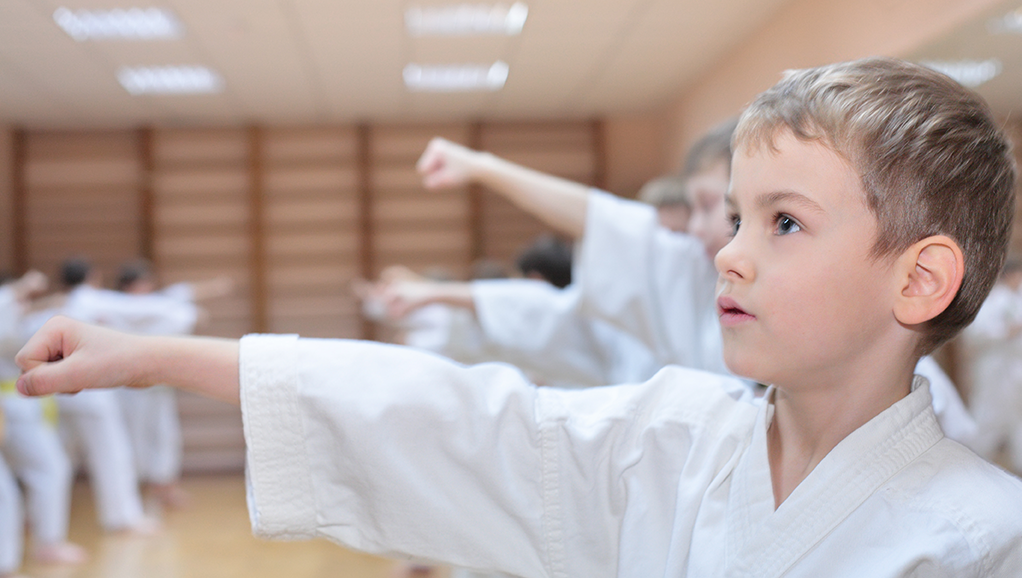 snedigar Martial Arts Chandler Arizona